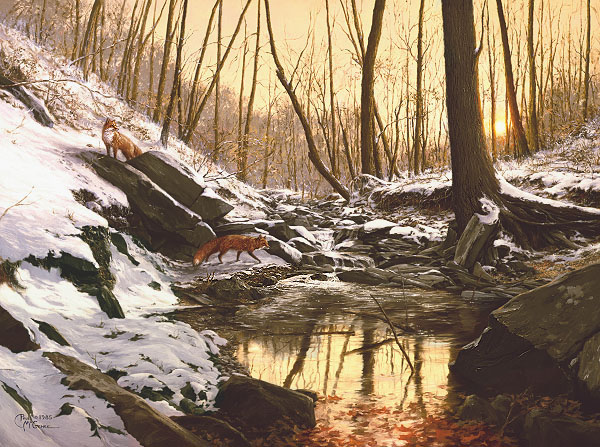Red Fox Creek