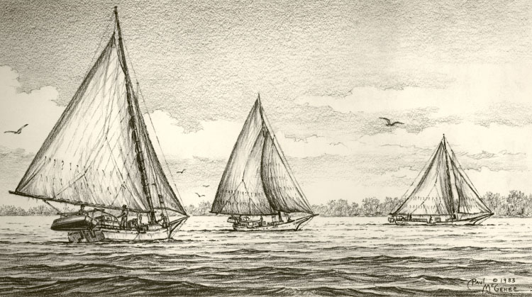Skipjacks of the Chesapeake Bay