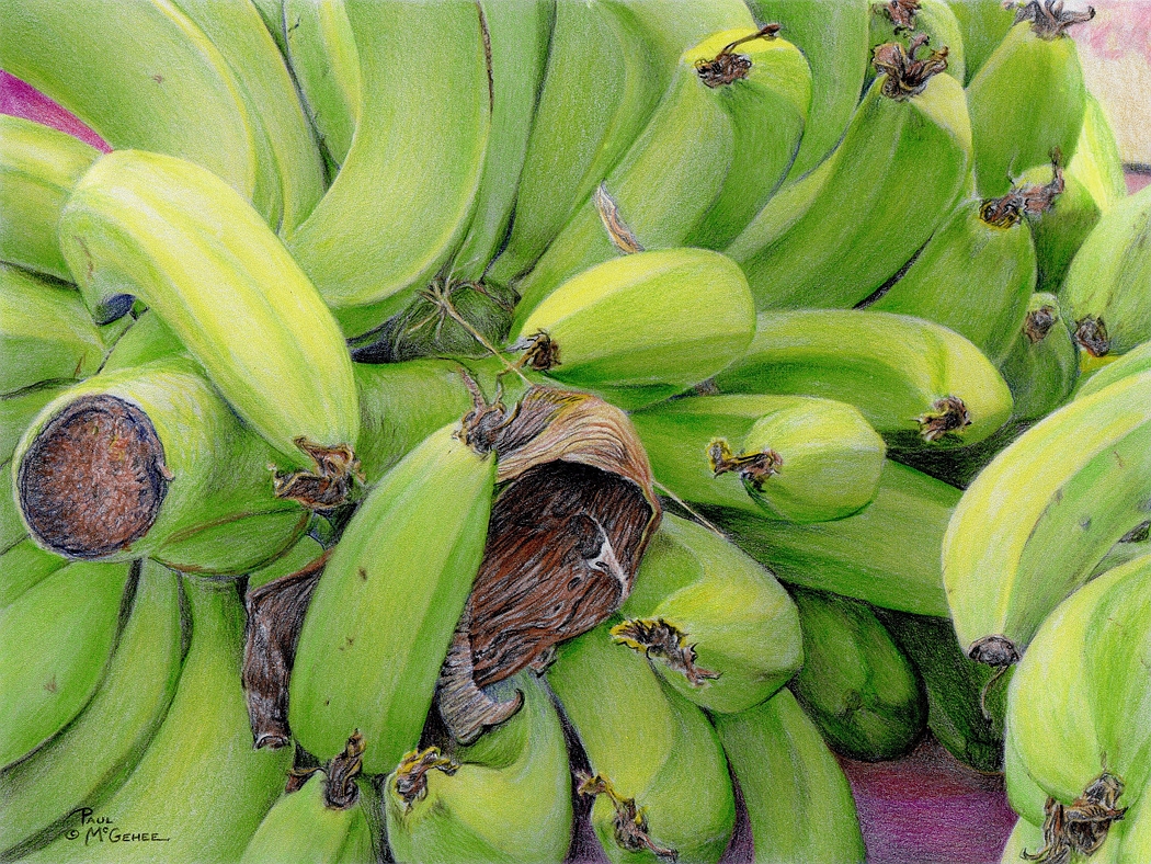 Bananas (Paul McGehee)