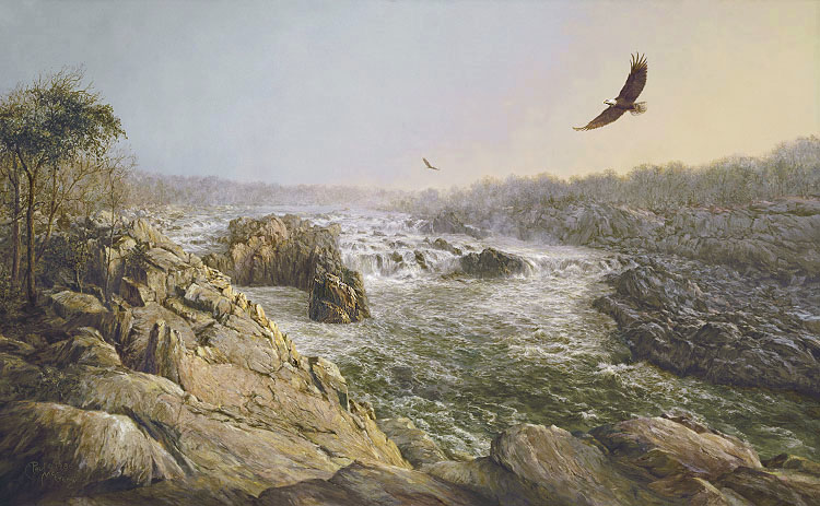 Great Falls of the Potomac (Paul McGehee)